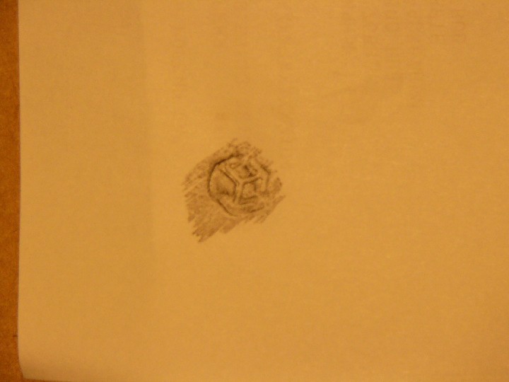 P1070146.JPG