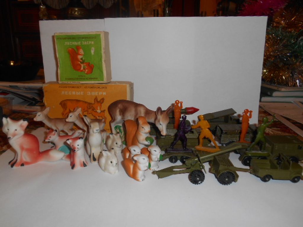DSCN0508.JPG