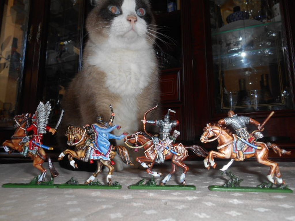 DSCN1681.JPG