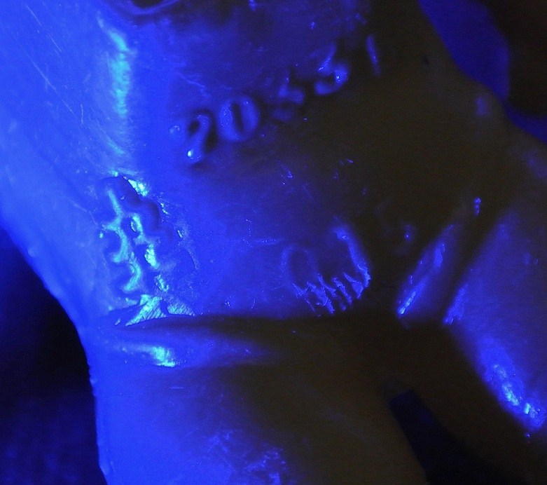 005.jpg