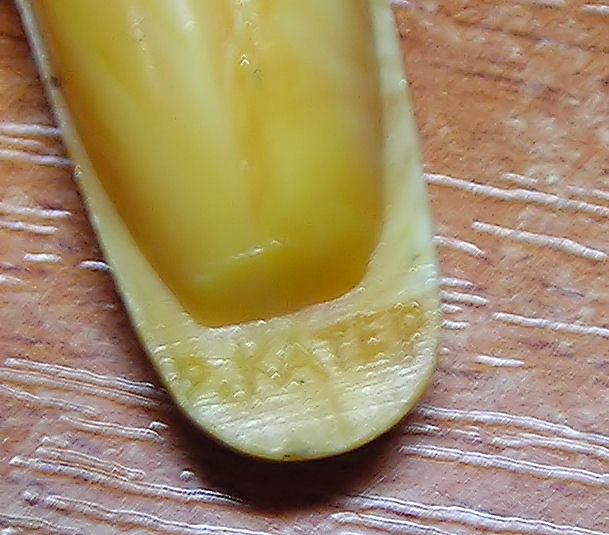 DSCN49.JPG